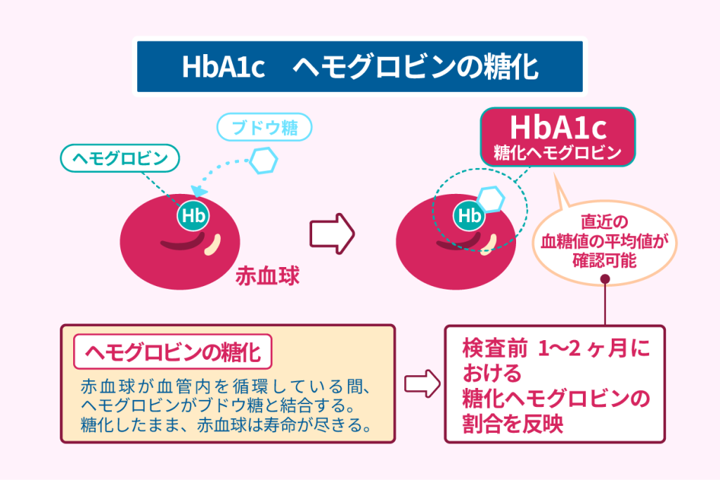 HbA1c ヘモグロビンの糖化